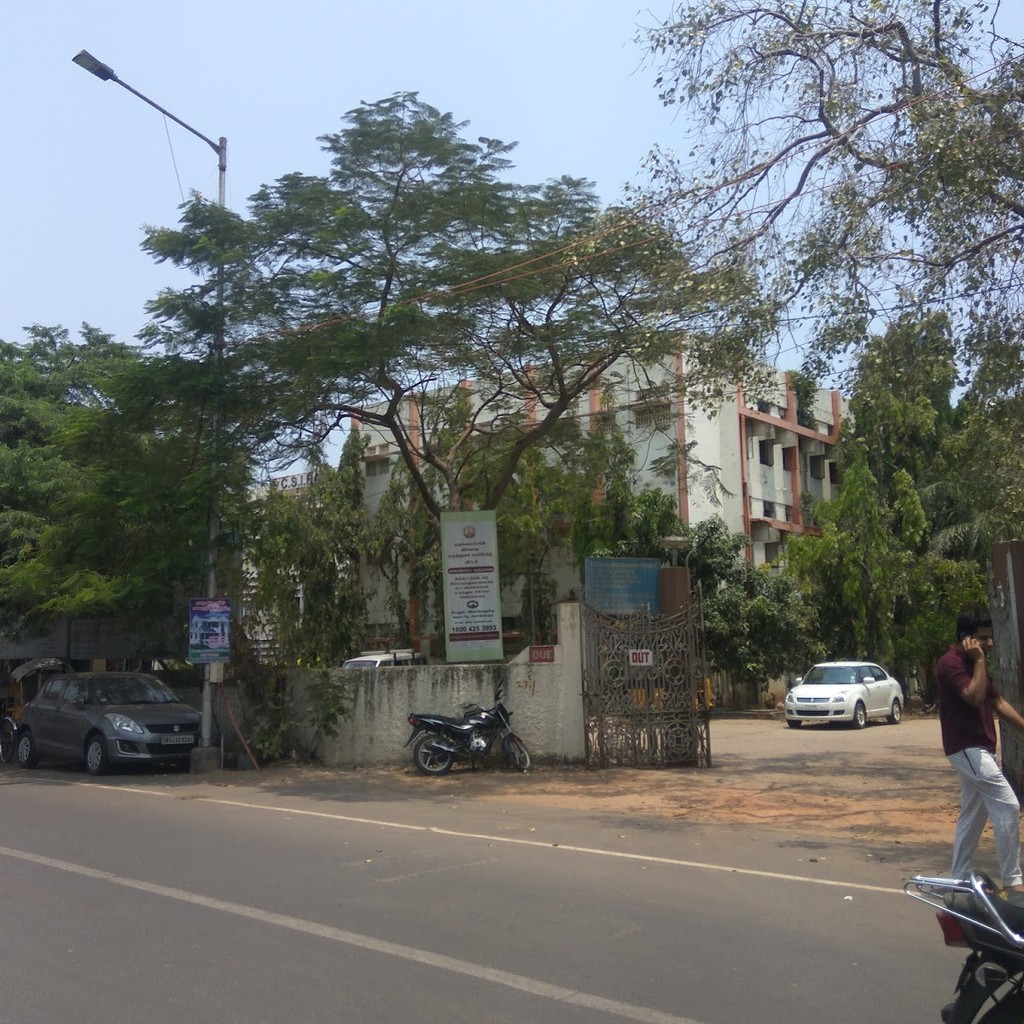 Google photo 3