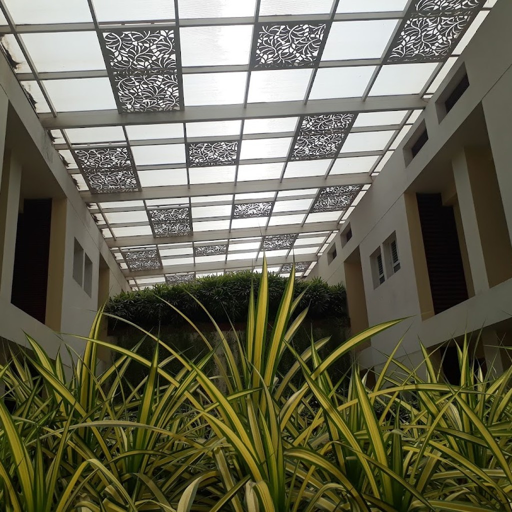 Google photo 3