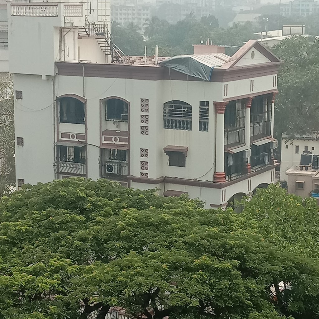 Google photo 8