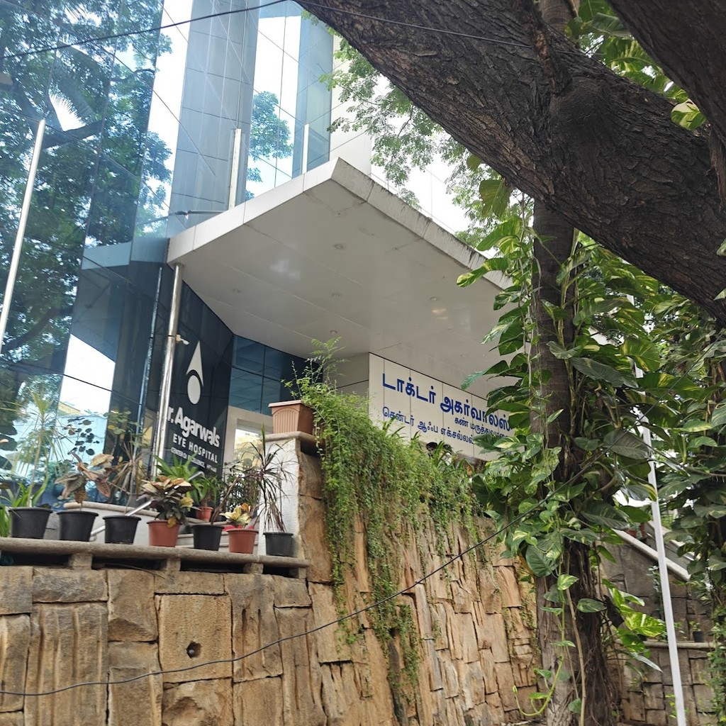 Google photo 7