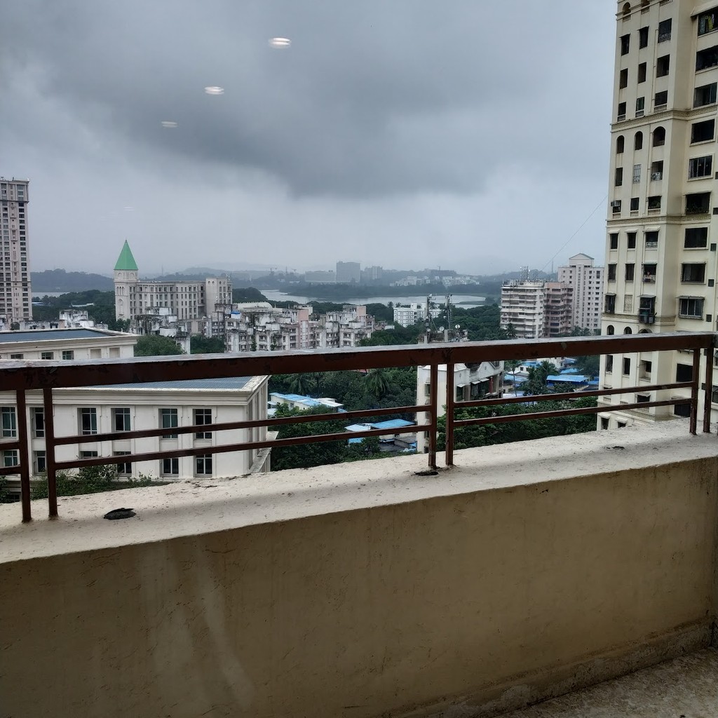 Google photo 4