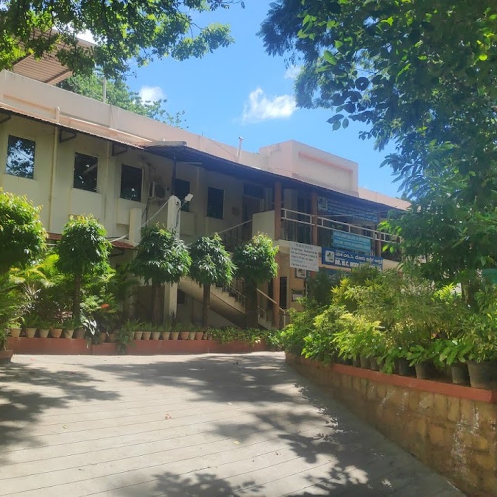 Google photo 6