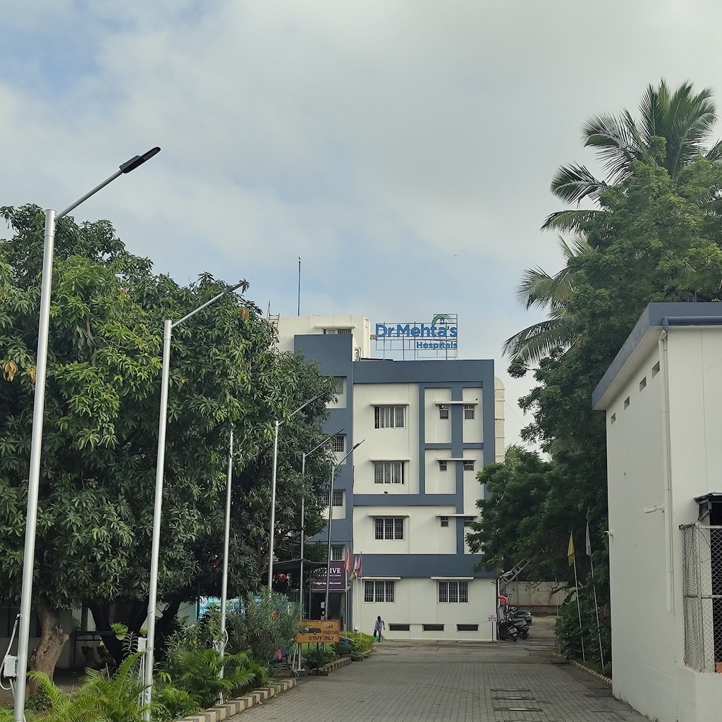 Google photo 3