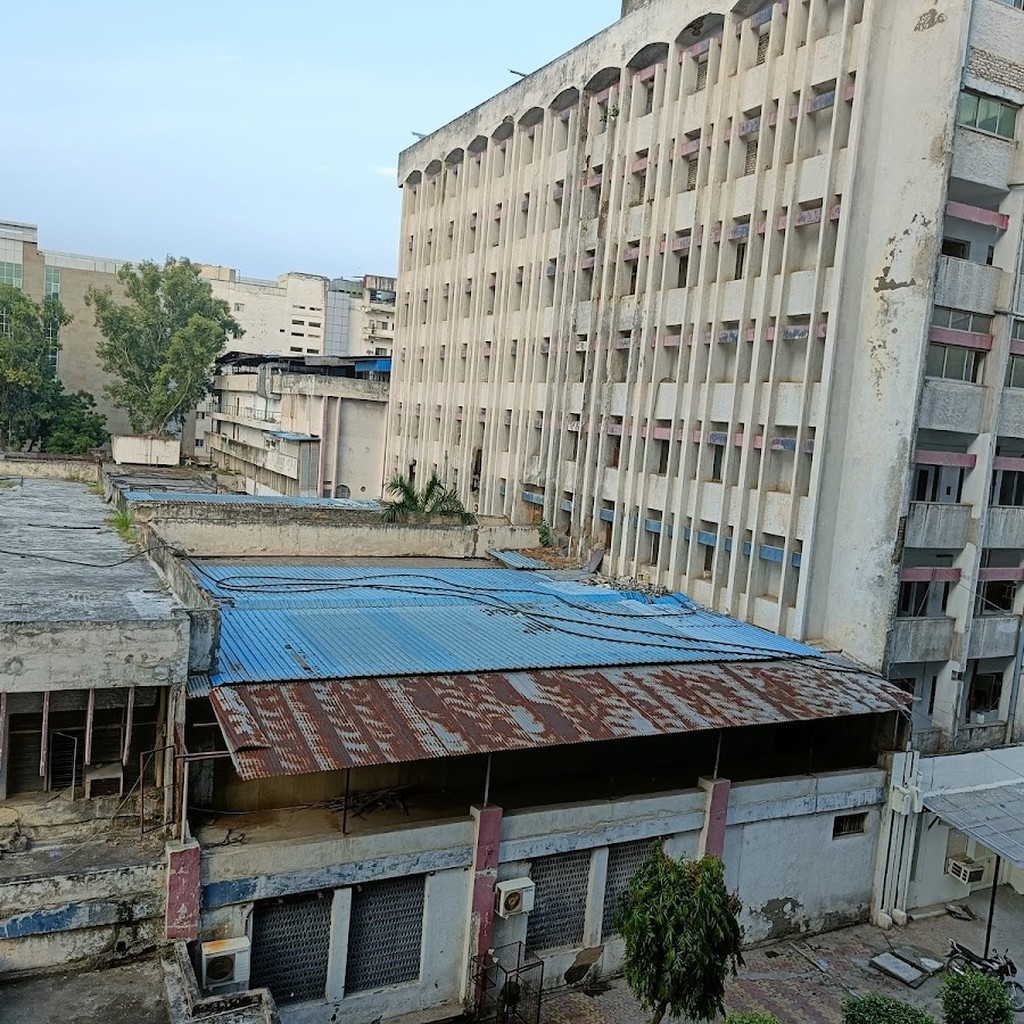 Google photo 4