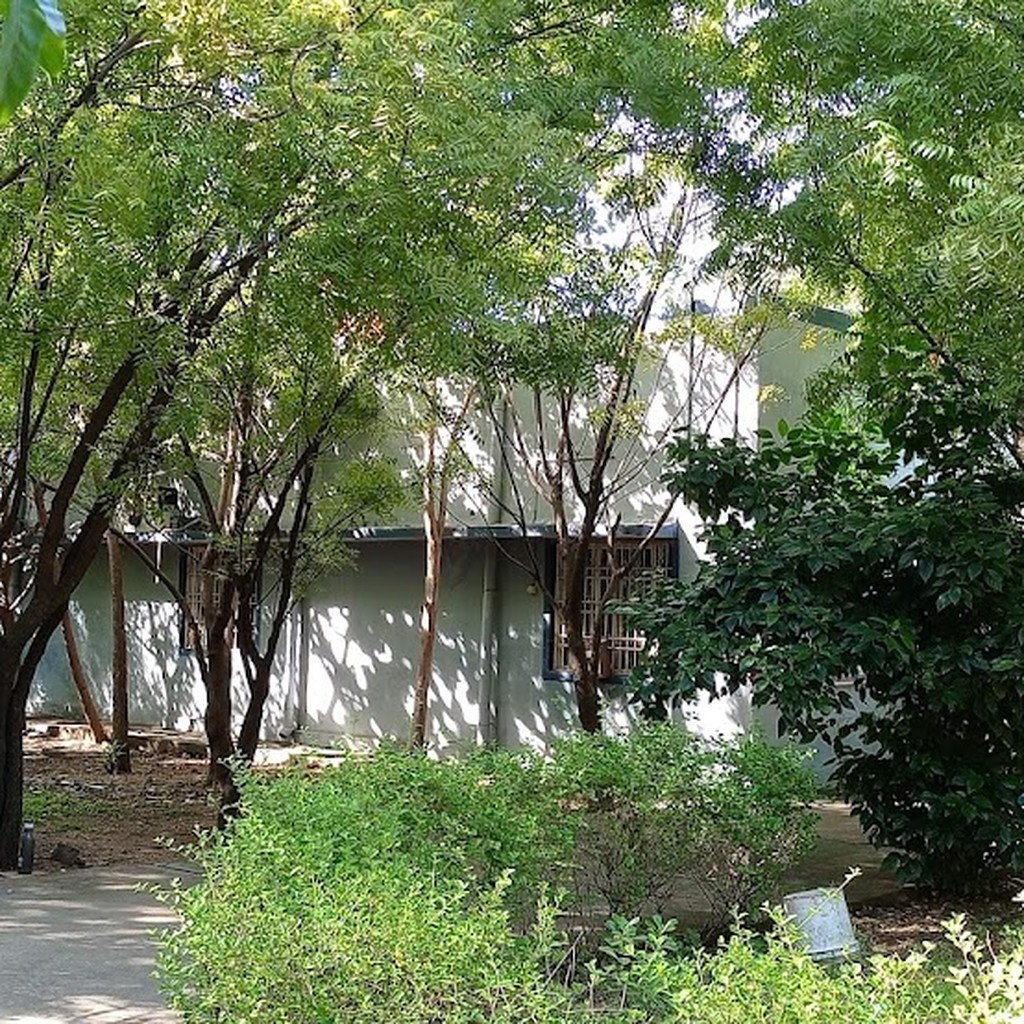 Google photo 5