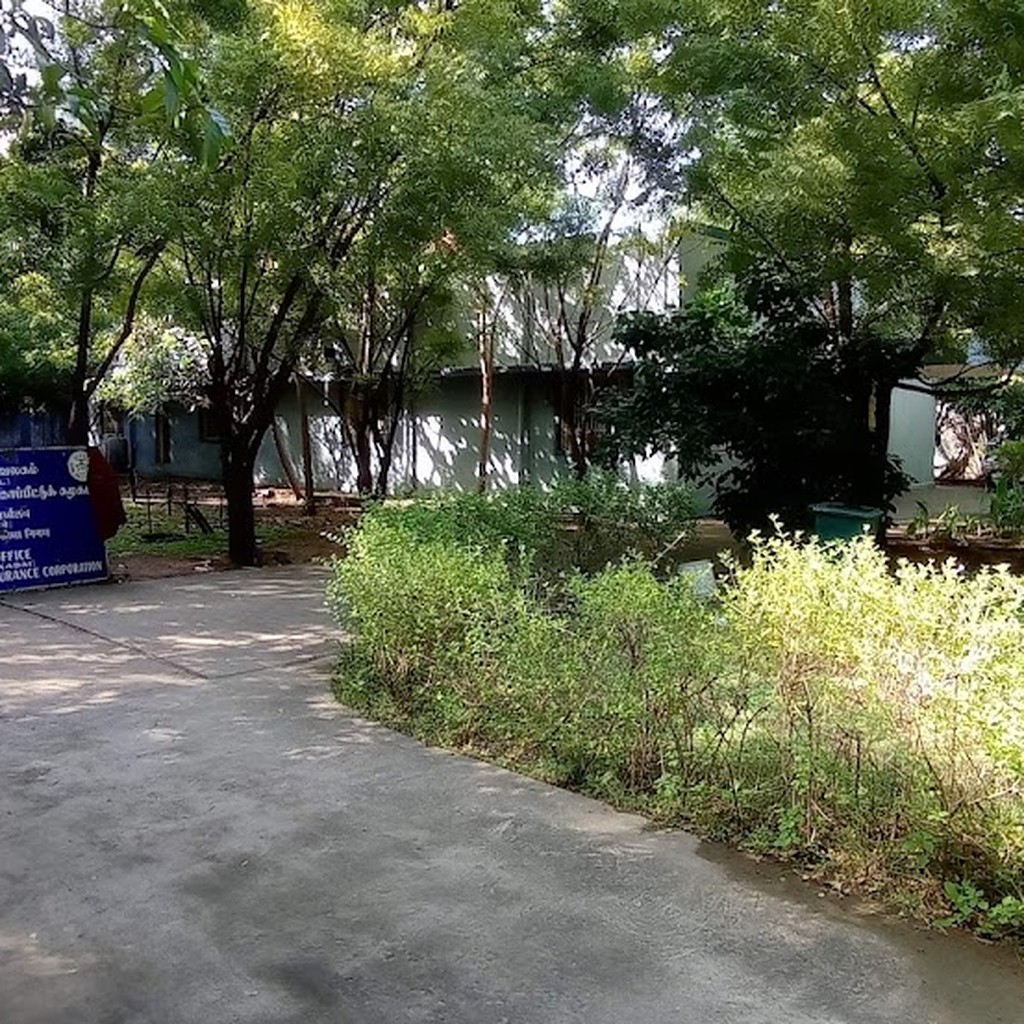 Google photo 6