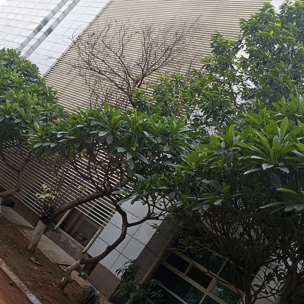 Google photo 3