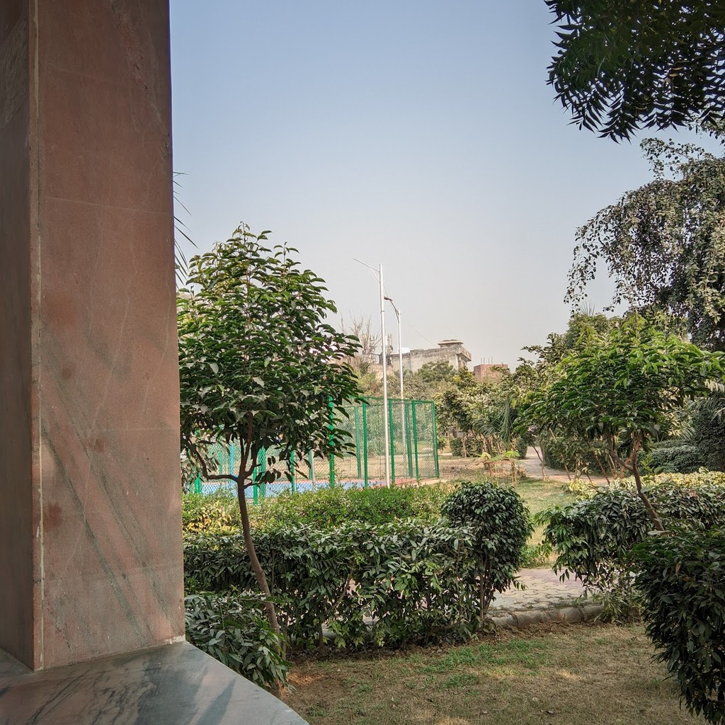 Google photo 8