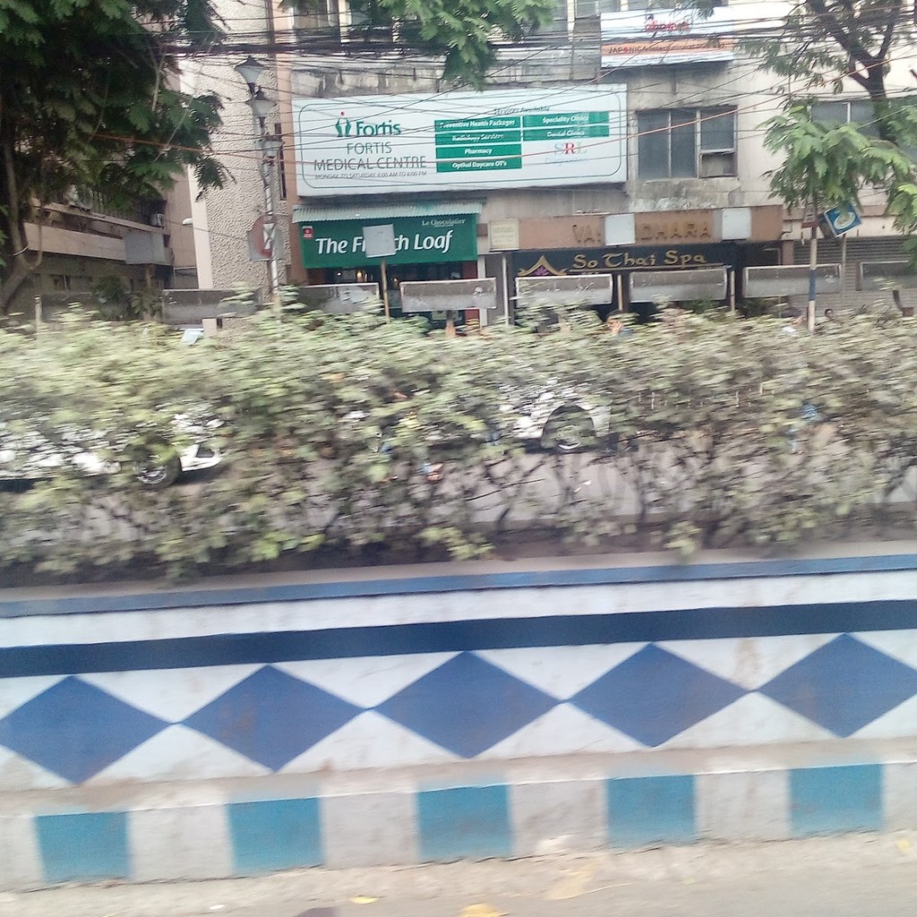 Google photo 4