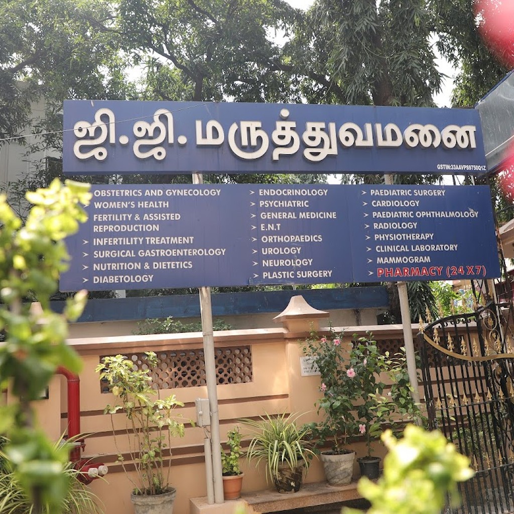 Google photo 3