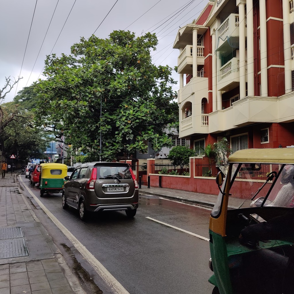 Google photo 5