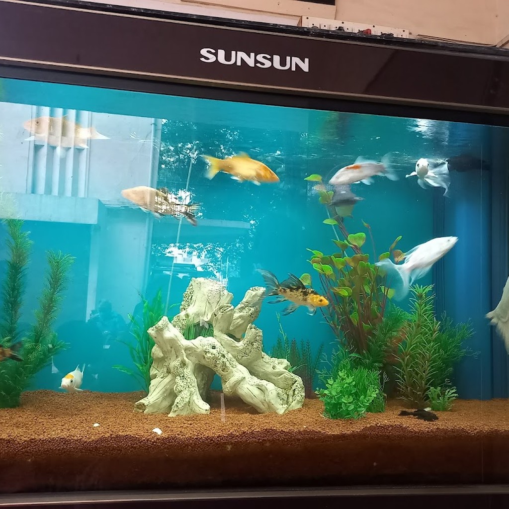 Google photo 7