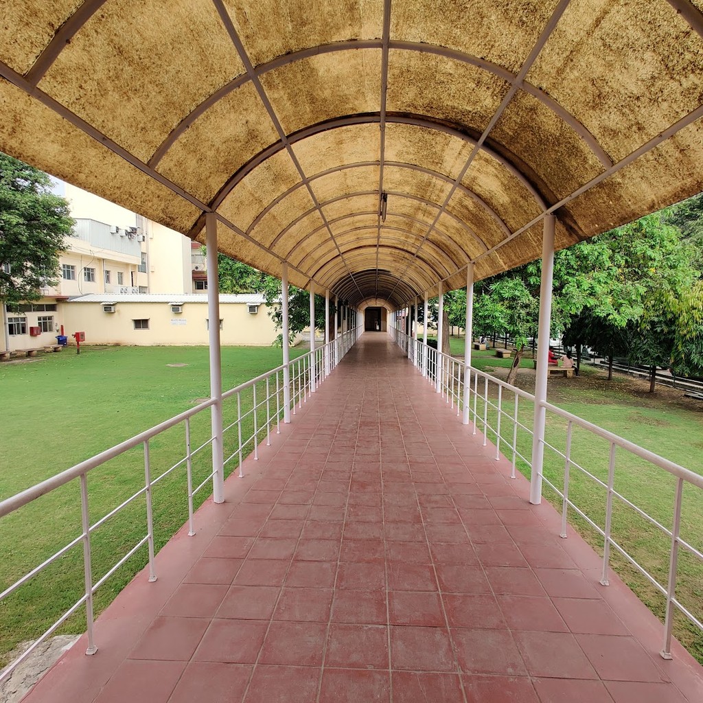 Google photo 7