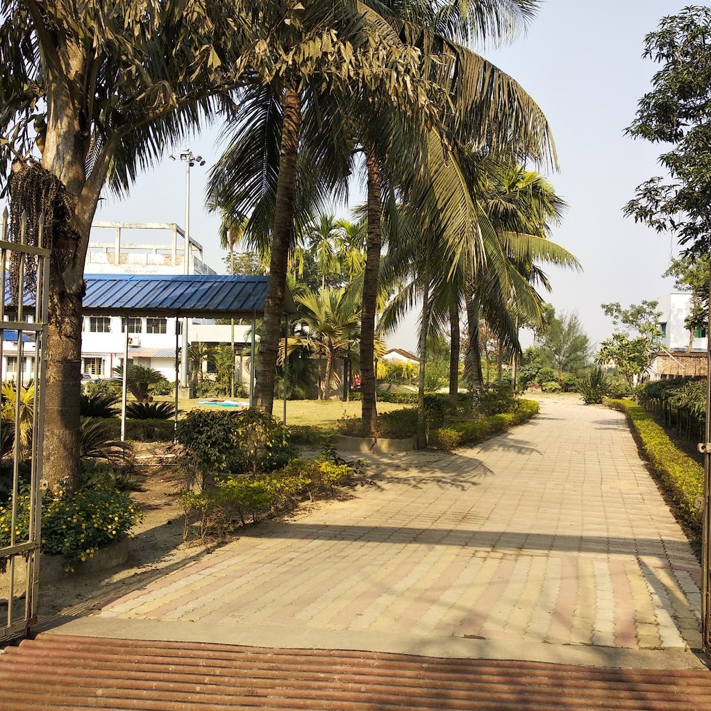 Google photo 3
