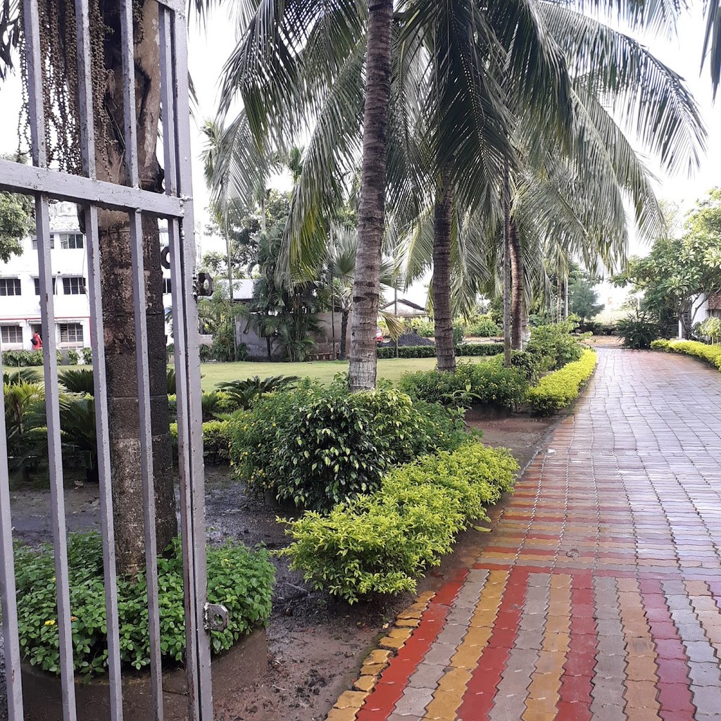 Google photo 4