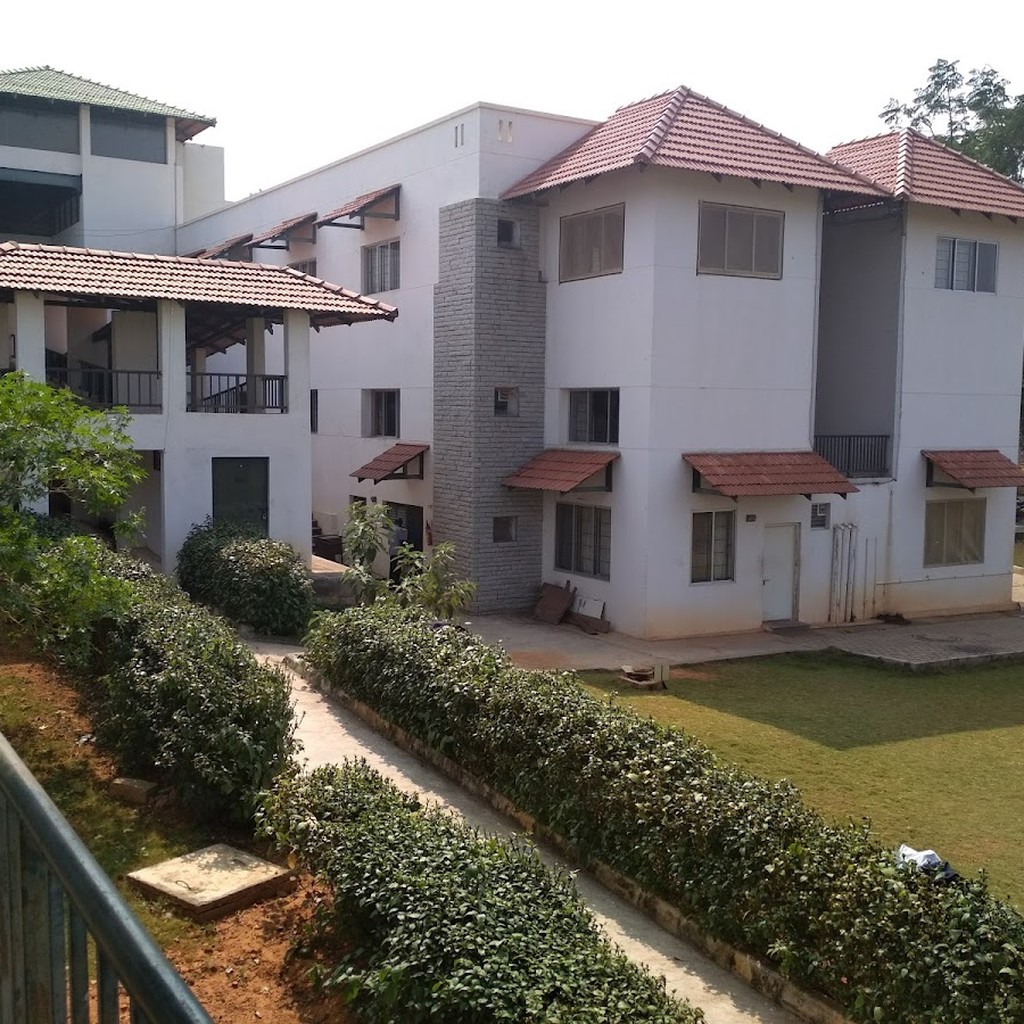 Google photo 2
