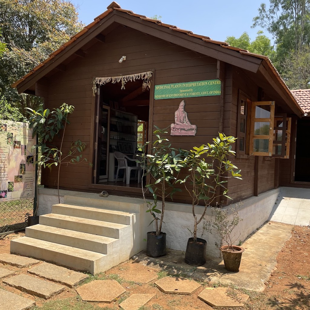Google photo 6