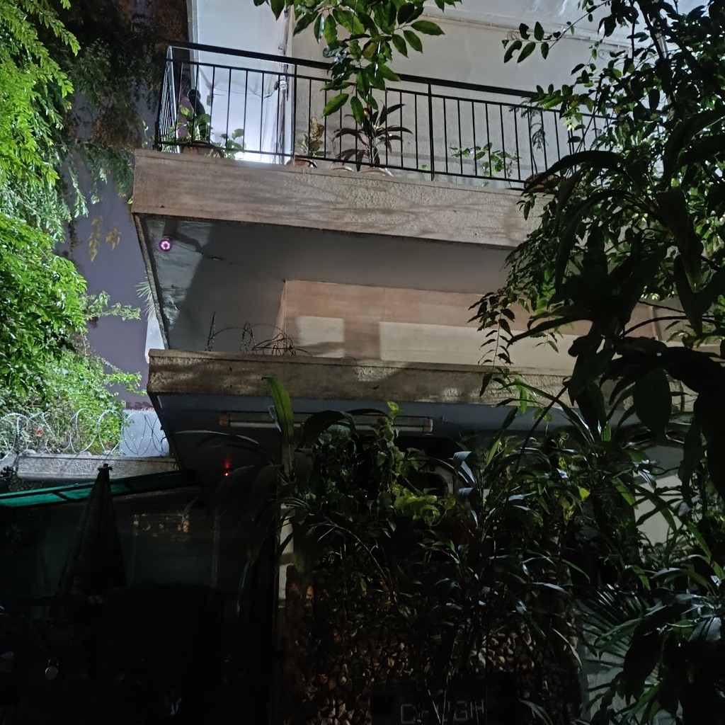 Google photo 5