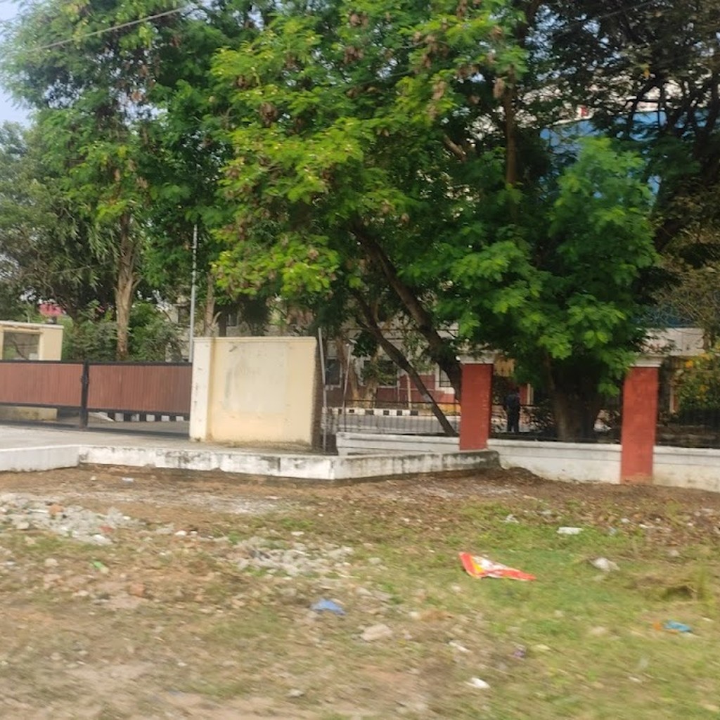 Google photo 5