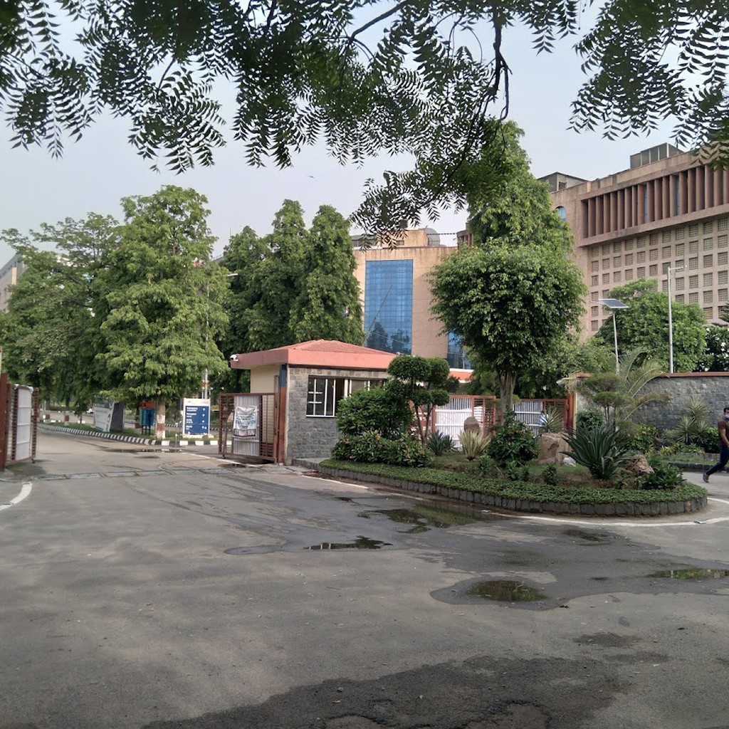 Google photo 6