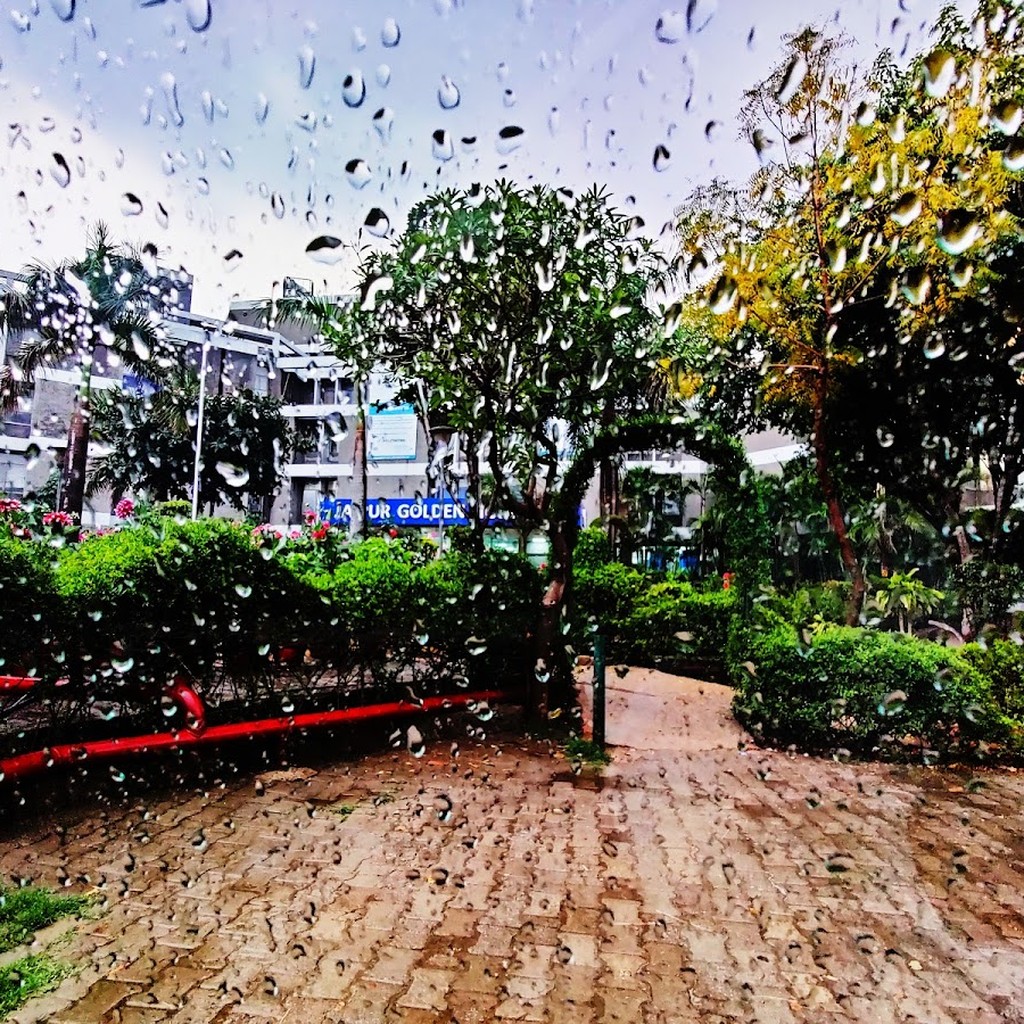 Google photo 2