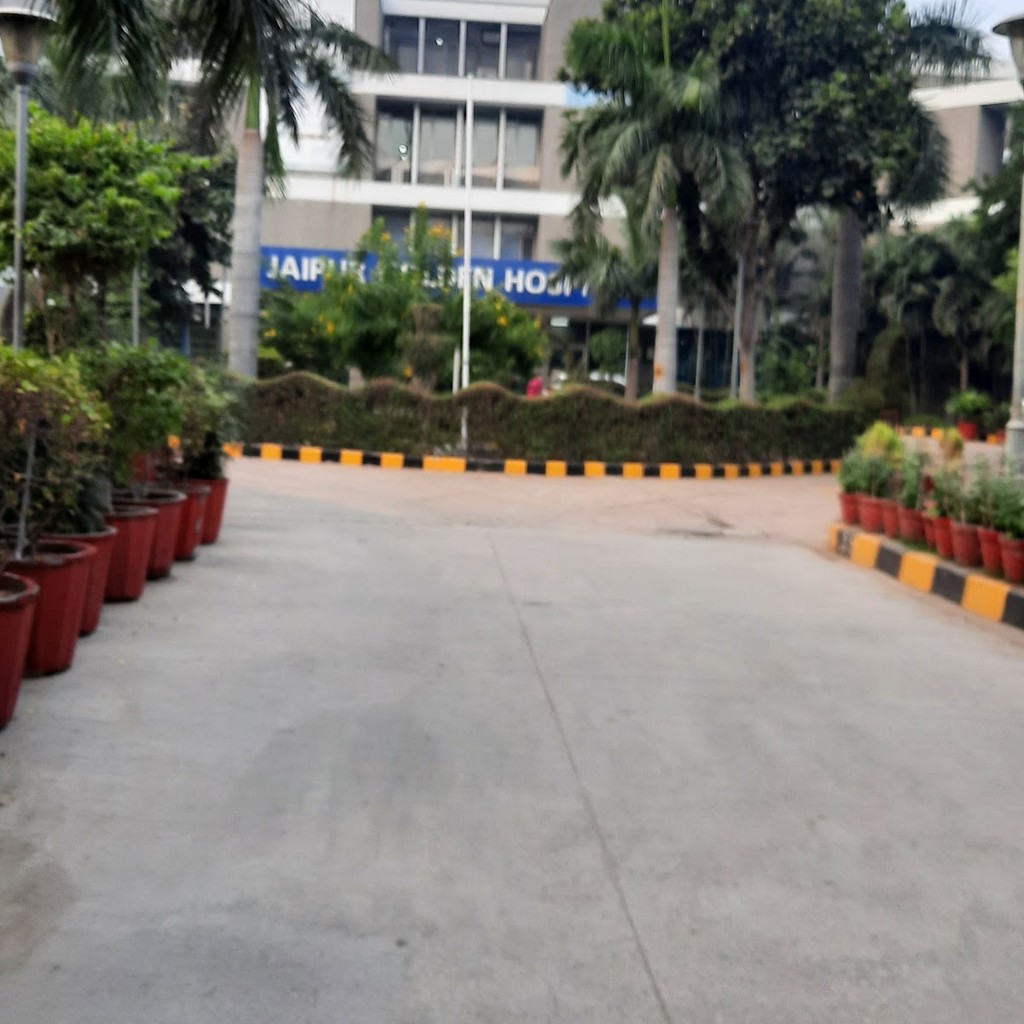 Google photo 5