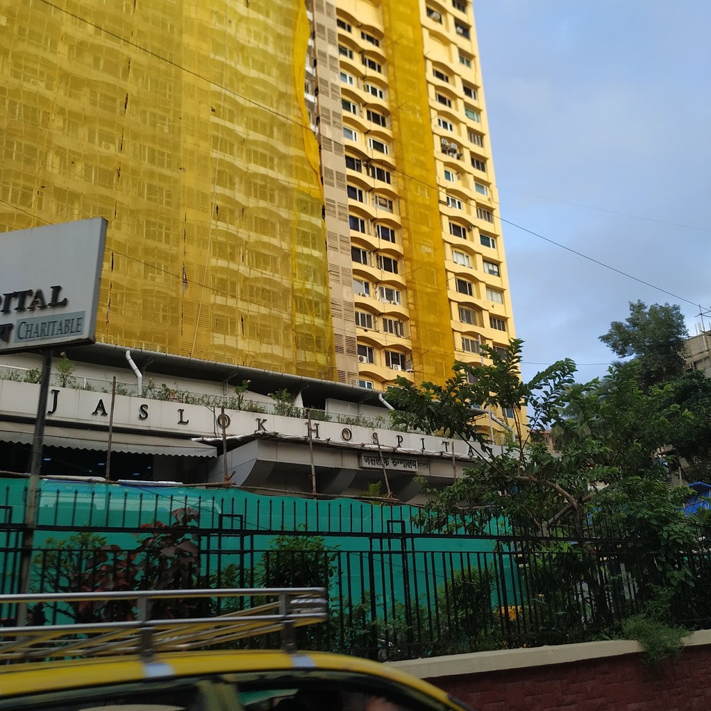Google photo 5