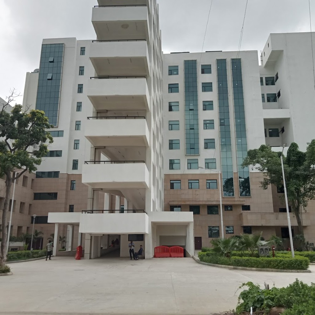 Google photo 7