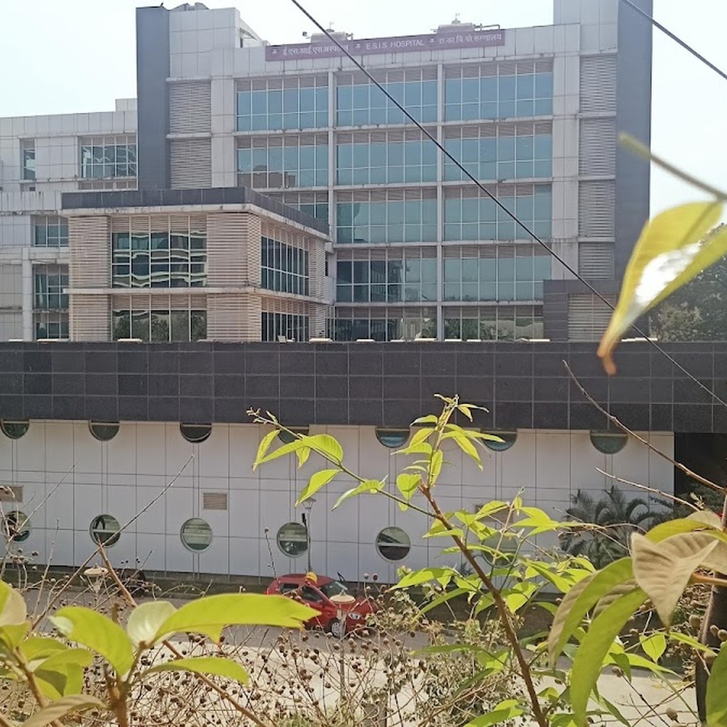 Google photo 5