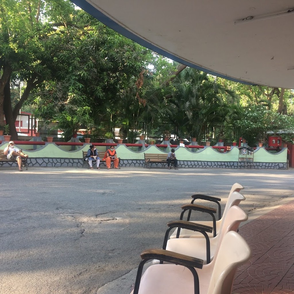 Google photo 6