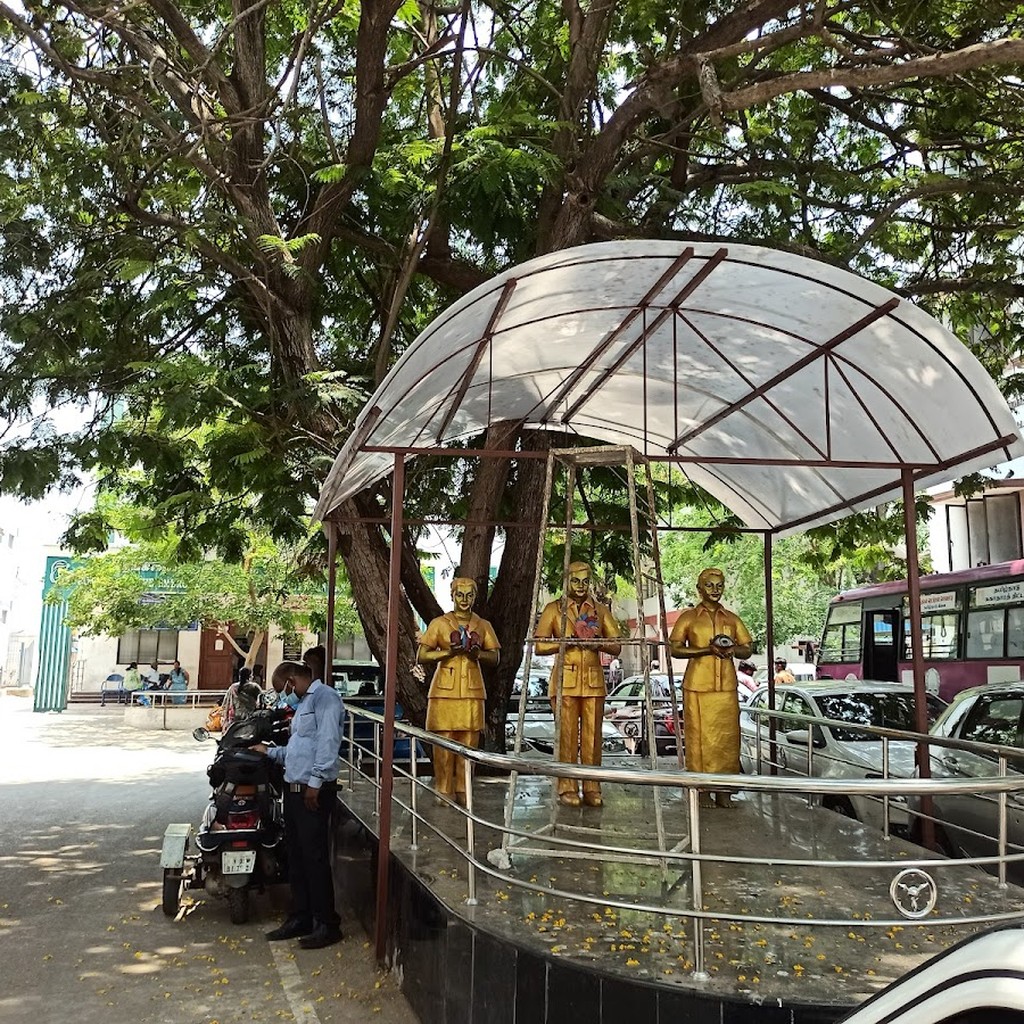 Google photo 2