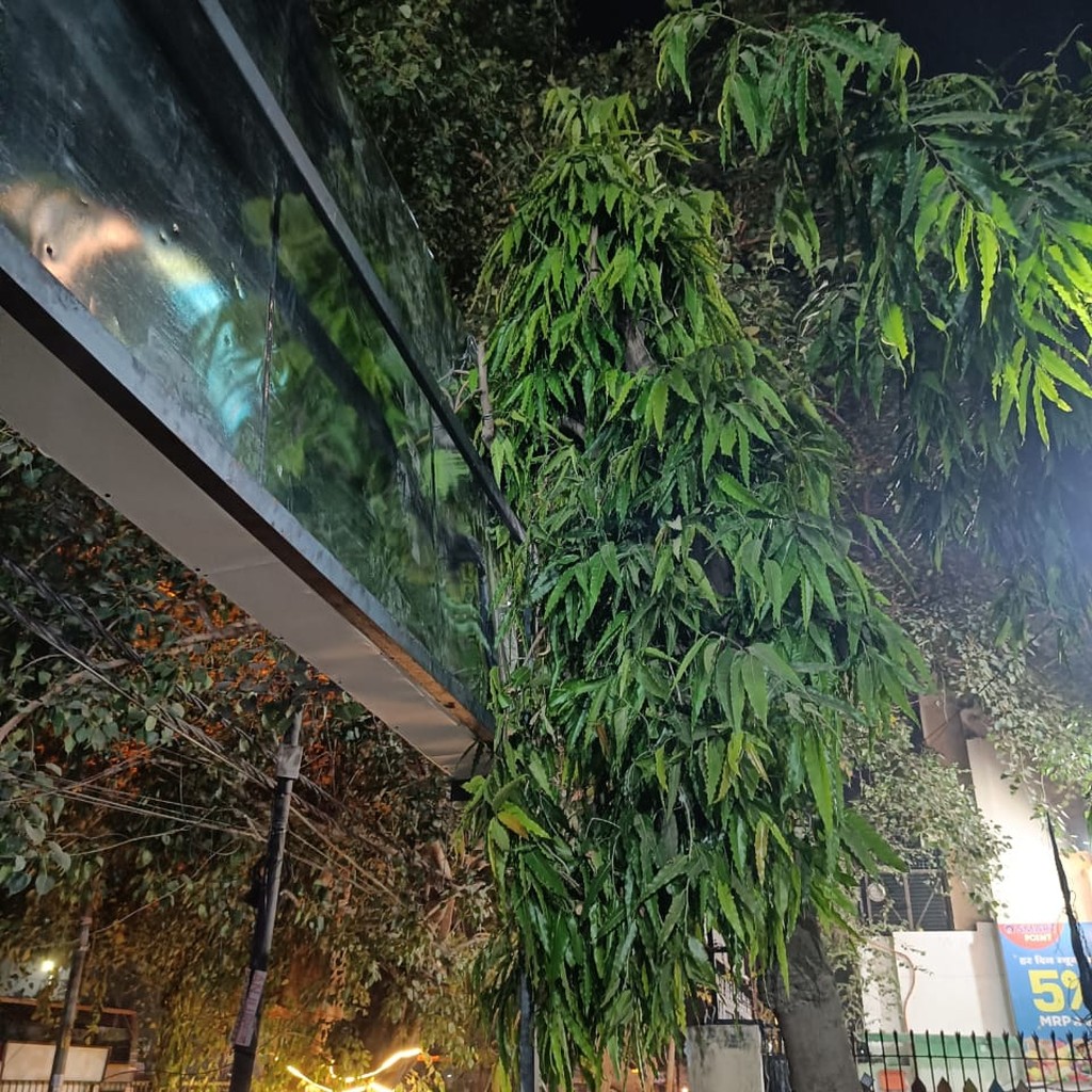 Google photo 6