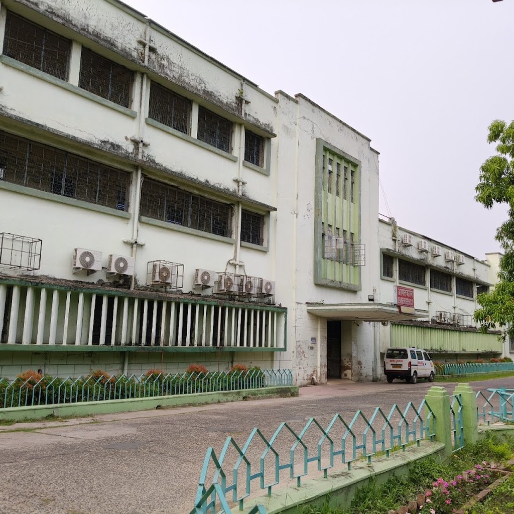 Google photo 3