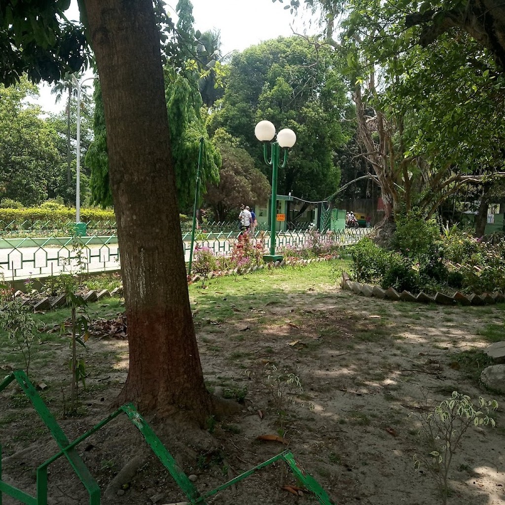 Google photo 7
