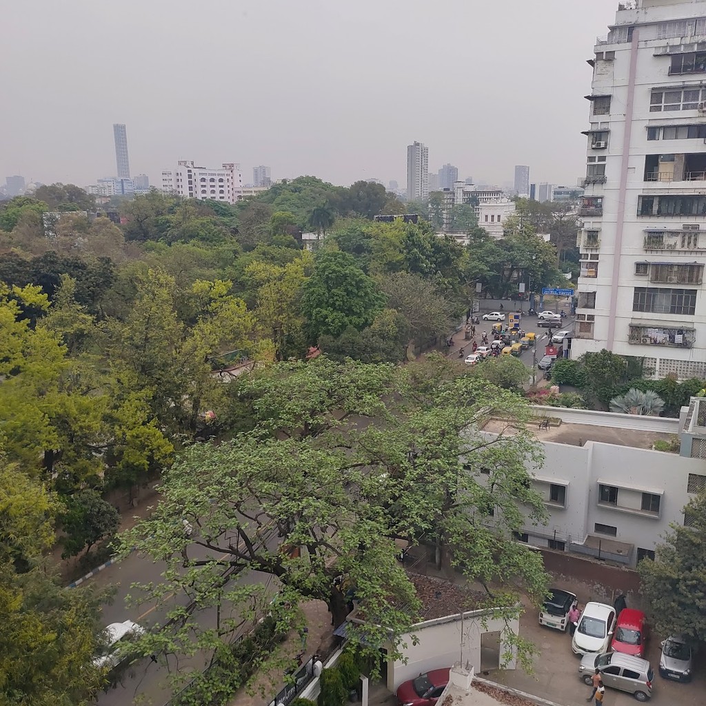 Google photo 8