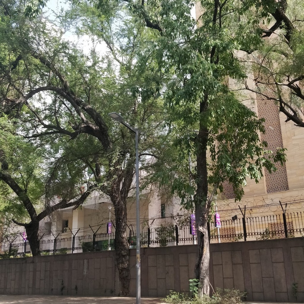 Google photo 7