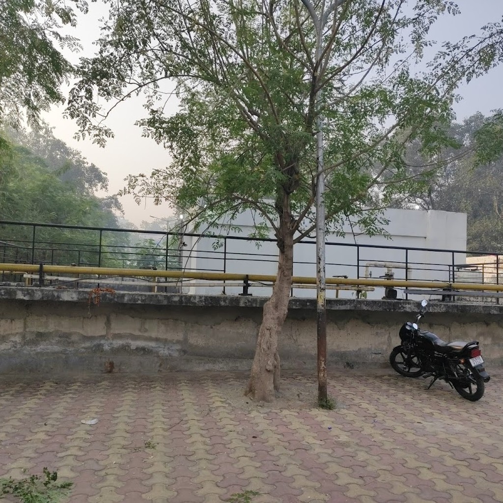 Google photo 8
