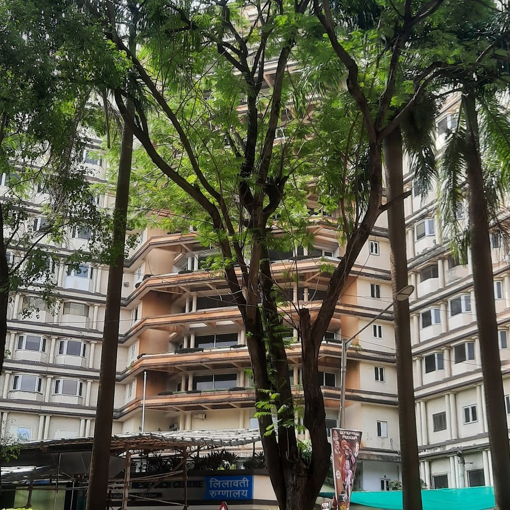 Google photo 7