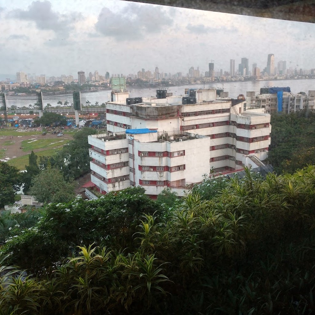 Google photo 3