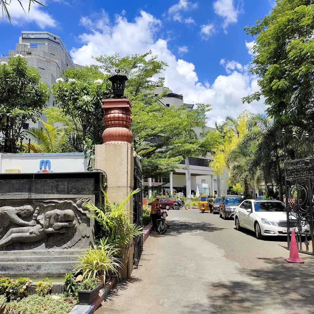 Google photo 2