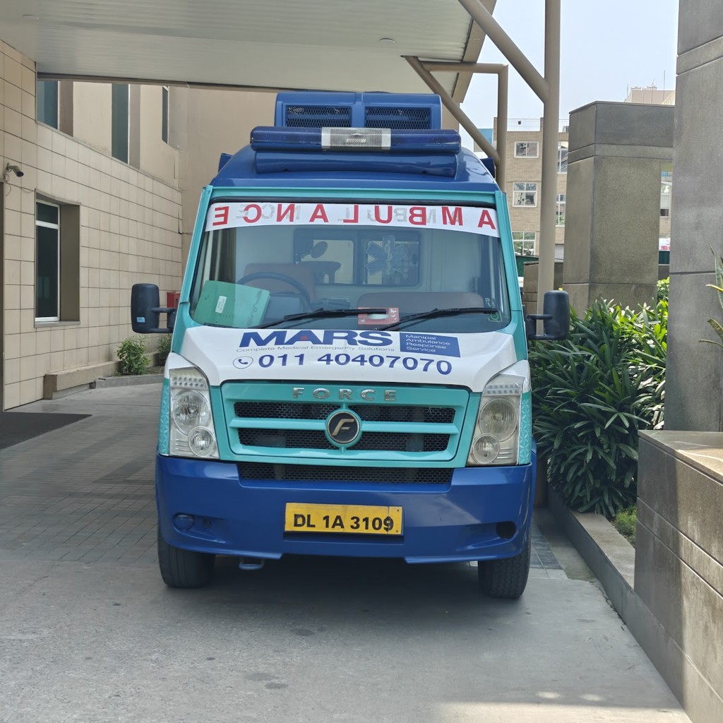 Google photo 3