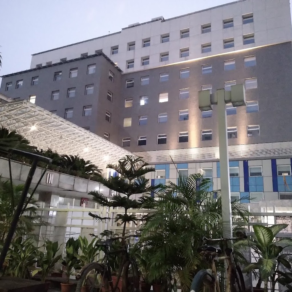 Google photo 3