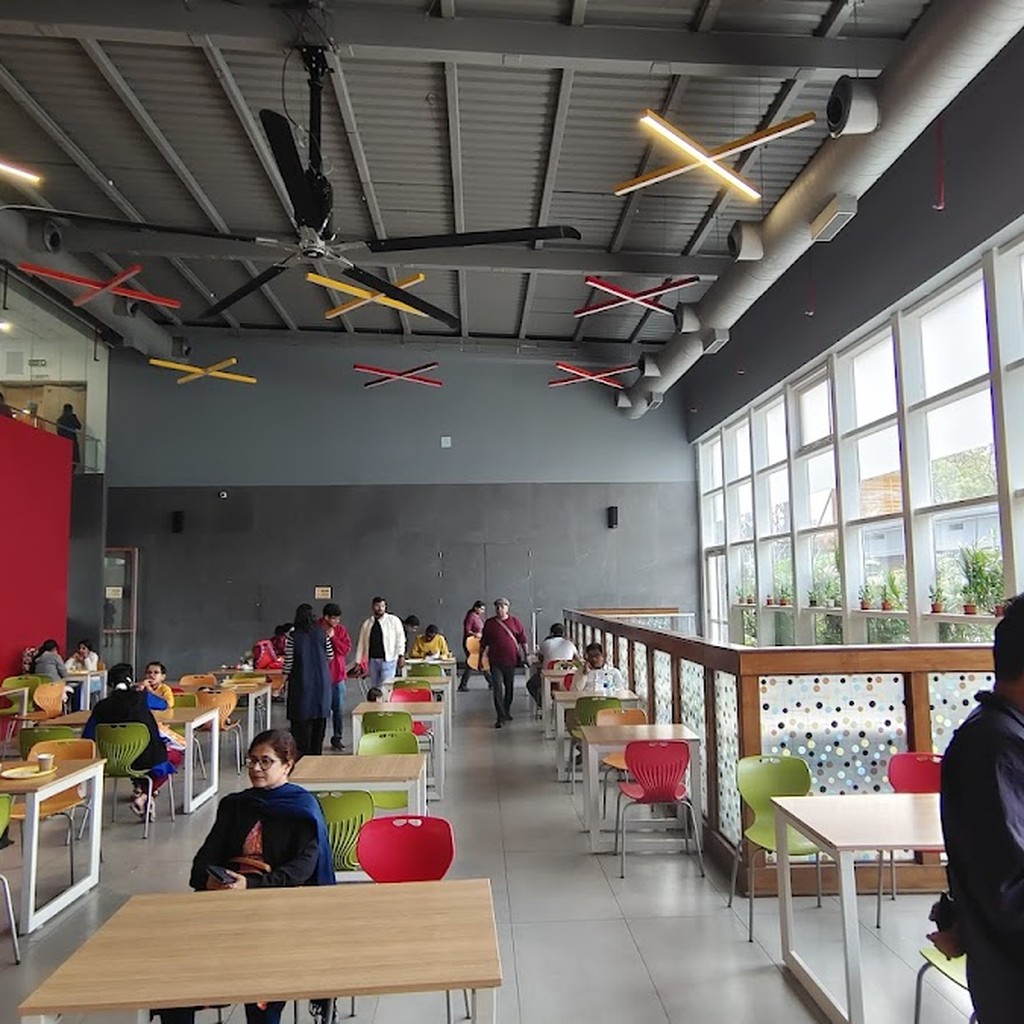 Google photo 6