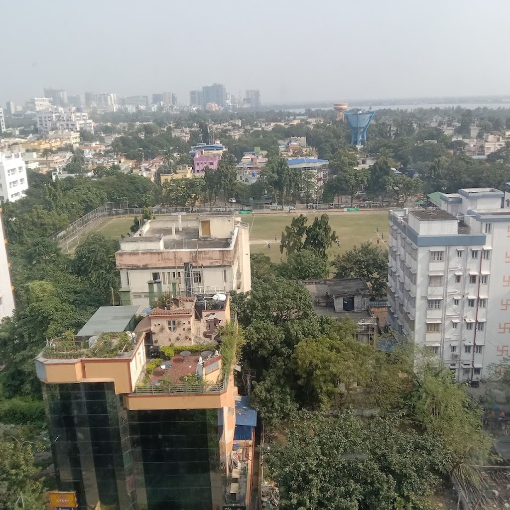 Google photo 2