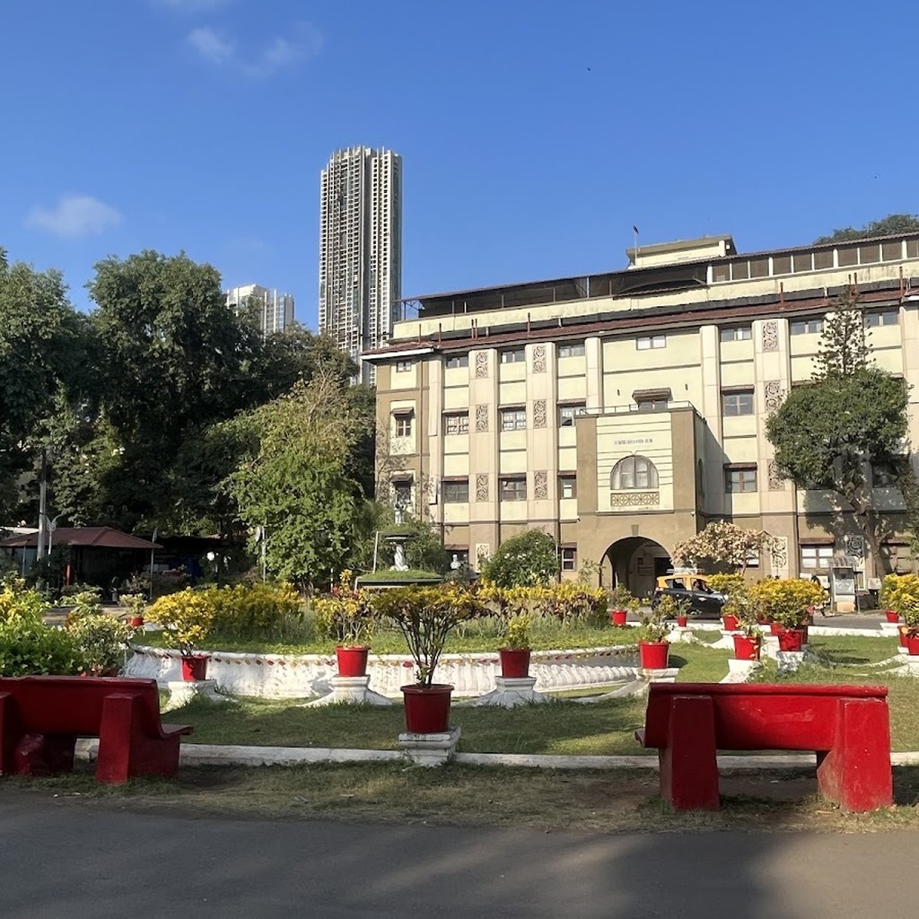 Google photo 6