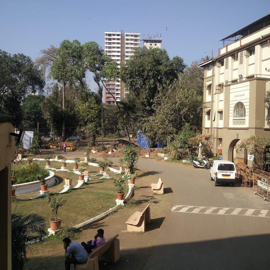 Google photo 5