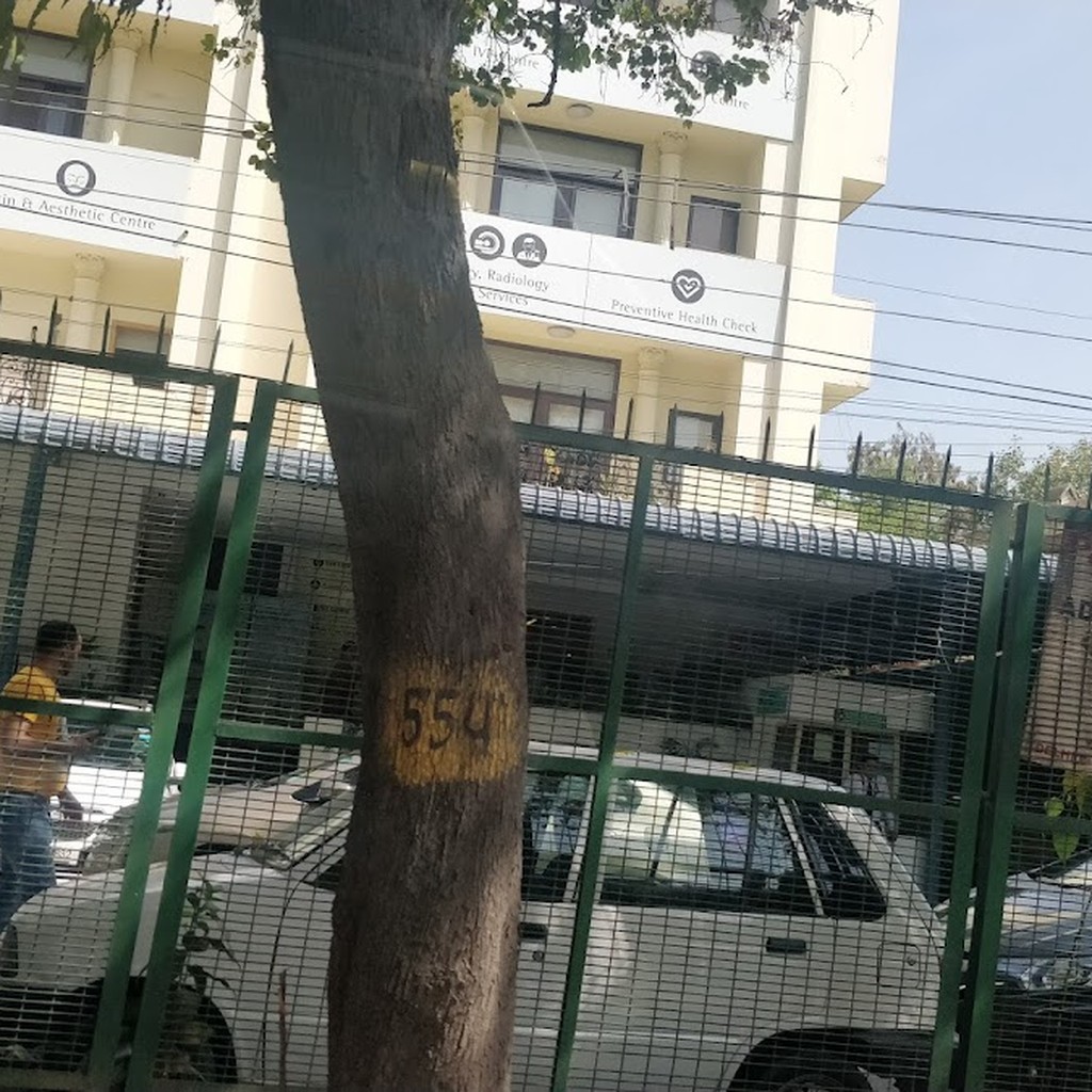 Google photo 2