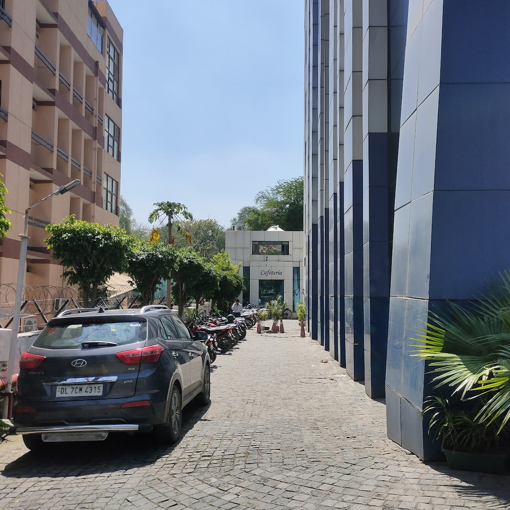 Google photo 4