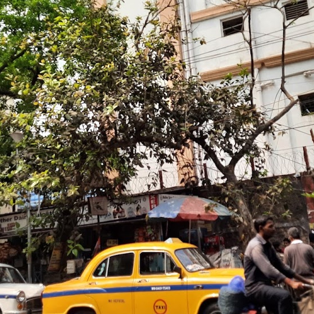Google photo 2