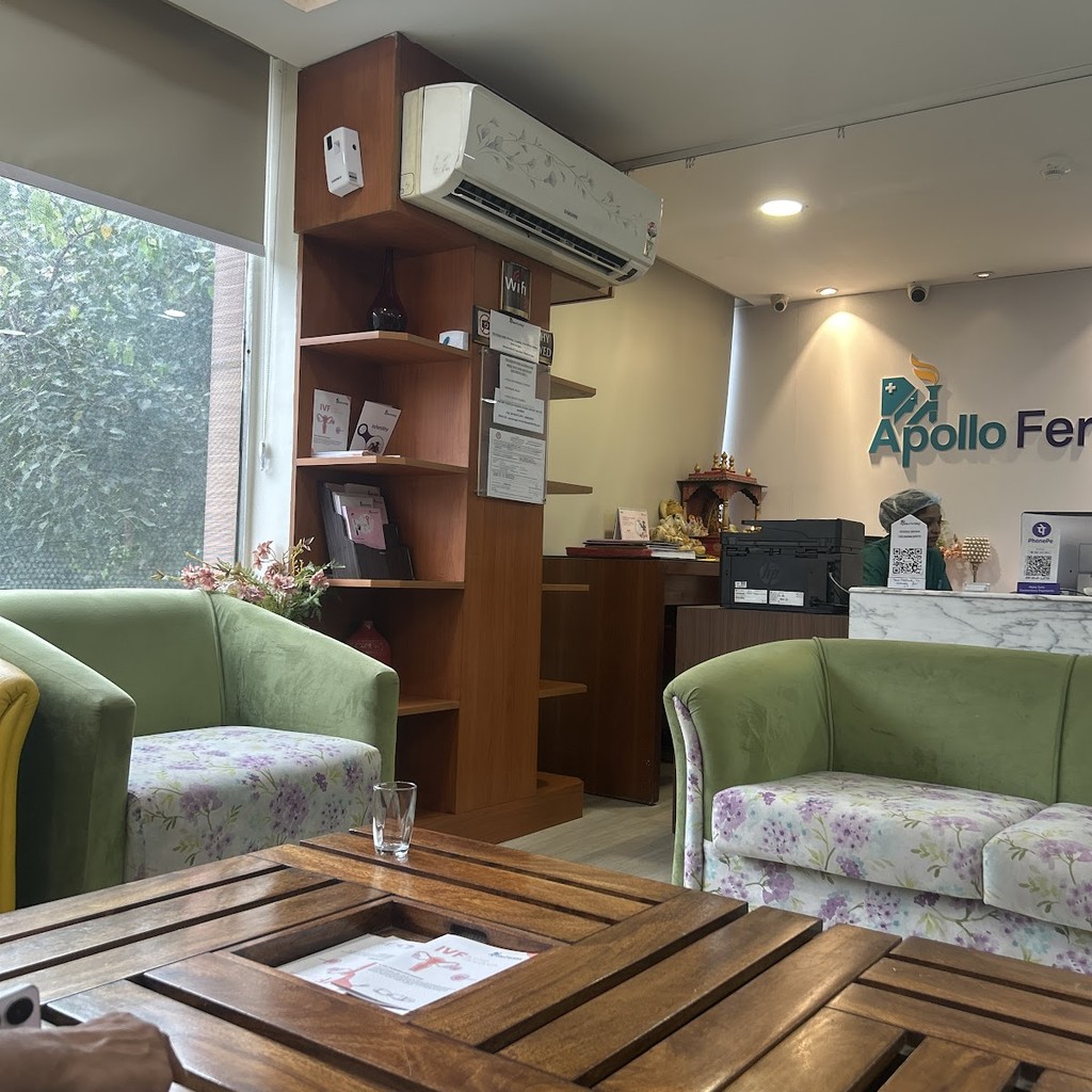 Google photo 4